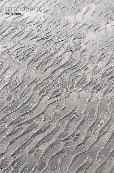 Sandstrand bei Ebbe  wellenartiges Muster  Rippel oder Strömungsrippel  Nordsee  Norddeich  Niedersachsen  Deutschland  Europa