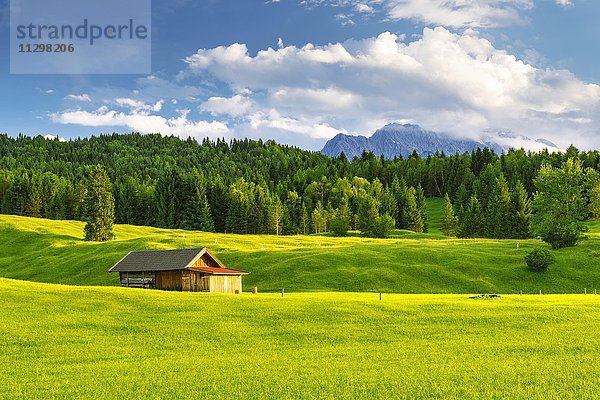 Grüne Wiesen mit Hütte vor Karwendelgebirge  bei Garmisch-Partenkirchen  Bayern  Oberbayern  Deutschland  Europa