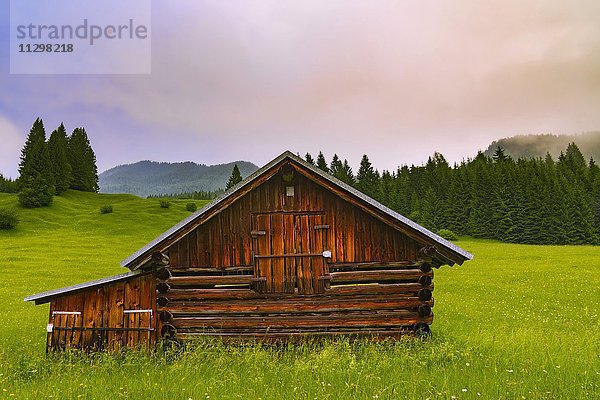 Almwiese mit Hütte  bei Garmisch-Partenkirchen  Bayern  Oberbayern  Deutschland  Europa
