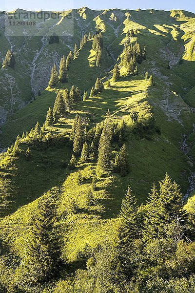 Berglandschaft am Hochtannbergpass  Bregenzer Wald  Vorarlberg  Österreich  Europa