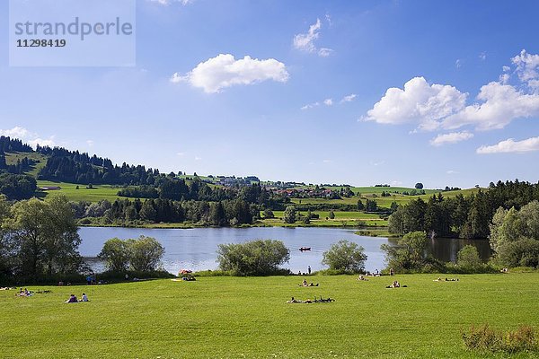 Grüntensee am Badestrand Haslach  Oy-Mittelberg  Allgäu  Schwaben  Bayern  Deutschland  Europa