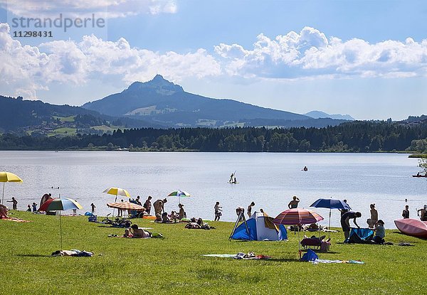 Grüntensee am Badestrand Haslach  hinten der Berg Grünten  Oy-Mittelberg  Allgäu  Schwaben  Bayern  Deutschland  Europa