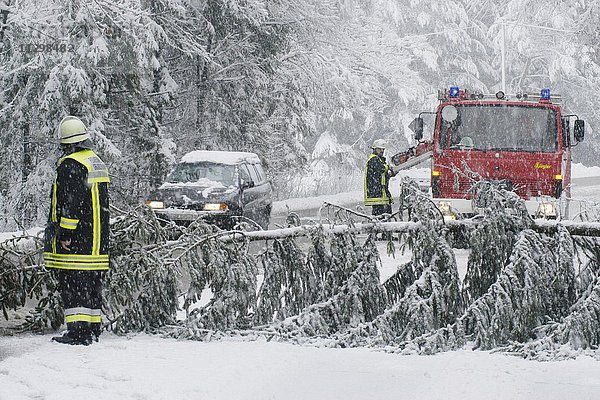 Schneebruch  umgestürzter Baum blockiert Fahrbahn  Putzbrunn  Oberbayern  Bayern  Deutschland  Europa