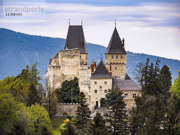 Burg Wartenstein  Raach am Hochgebirge bei Gloggnitz  Bezirk Neunkirchen  Niederösterreich  Österreich  Europa