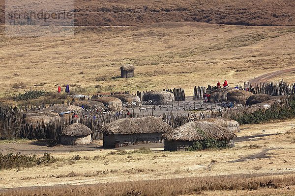 Massai-Dorf  Ngorongoro Conservation Area  UNESCO-Weltnaturerbe  Tansania  Afrika