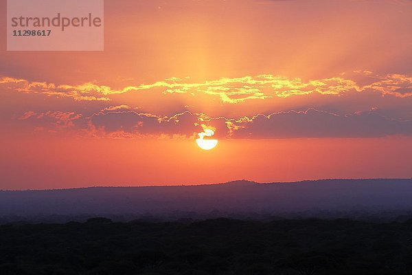 Sonnenaufgang über dem Tarangire-Nationalpark  Tansania  Afrika
