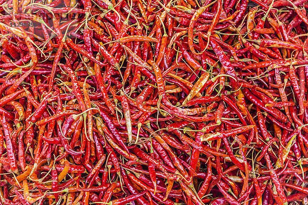 Rote Chilischoten auf dem Markt  Nampan  formatfüllend  Inle Lake  Inle See  Shan Staat  Myanmar  Asien