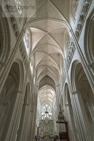 Mittelschiff mit Hauptaltar  Kathedrale Notre Dame de l'Assomption  Luçon  Vendée  Frankreich  Europa