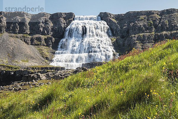 Fjallfoss Wasserfall  Fluss Dynjandisá  Dynjandi  Westfjorde  Island  Europa