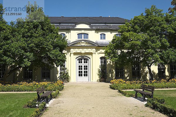 Orangerie im Schlosspark Altenburg  Altenburg  Thüringen  Deutschland  Europa