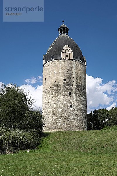 Turm  Bergfried Dicker Wilhelm  Schloss Neuenburg  bei Freyburg an der Unstrut  Sachsen-Anhalt  Deutschland  Europa