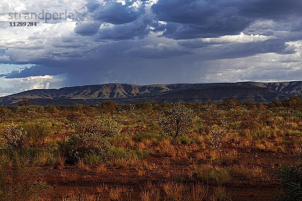 Australisches Outback  Landschaft  Pilbara  Western Australia  Australien  Ozeanien