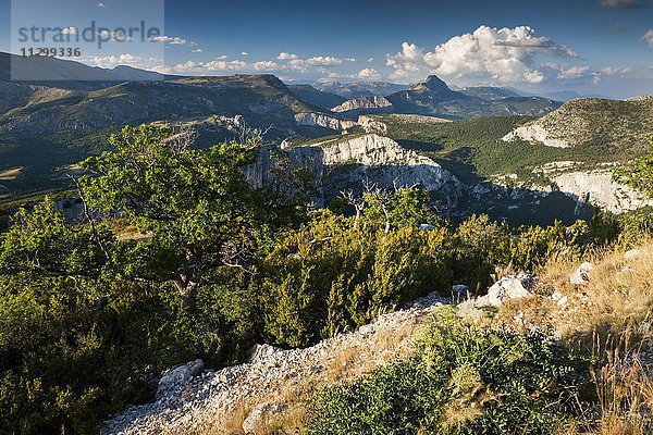 Berglandschaft an der Verdonschlucht  Regionaler Naturpark Verdon  Provence  Provence-Alpes-Cote-d'Azur  Frankreich  Europa