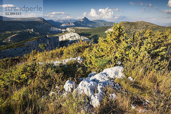 Ausblick über die Verdonschlucht  Regionaler Naturpark Verdon  Provence  Provence-Alpes-Cote-d'Azur  Frankreich  Europa