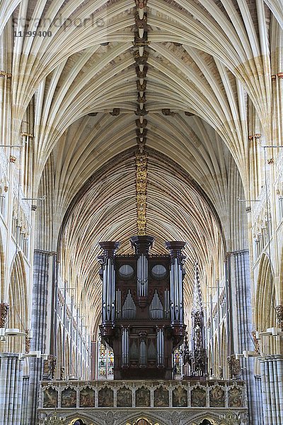 Orgel  Kathedrale St. Peter Exeter  Exeter  Devon  England  Vereinigtes Königreich