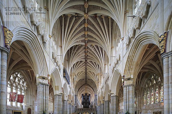 Fächergewölbe  Langhaus  Kathedrale St. Peter Exeter  Exeter  Devon  England  Vereinigtes Königreich