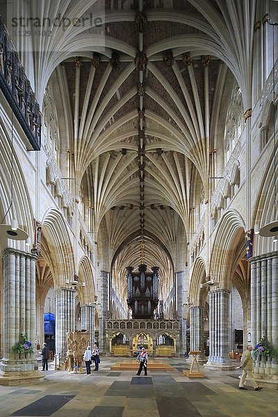 Langhaus  Kathedrale St. Peter Exeter  Exeter  Devon  England  Vereinigtes Königreich