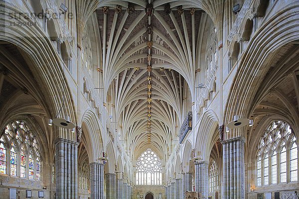 Langhaus  Kathedrale St. Peter  Exeter  Devon  England  Vereinigtes Königreich