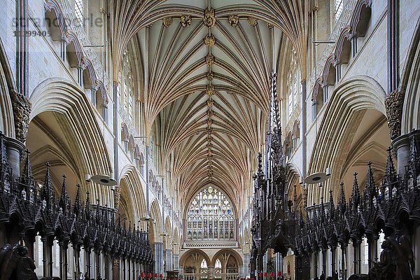 Chor  Kathedrale St. Peter Exeter  Exeter  Devon  England  Vereinigtes Königreich
