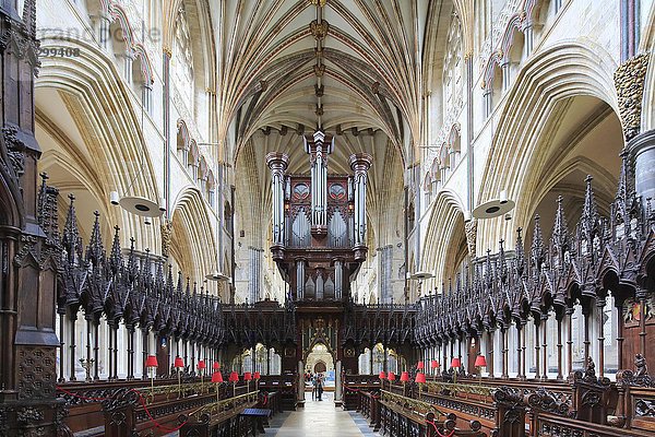 Chor und Orgel  Kathedrale St. Peter Exeter  Exeter  Devon  England  Vereinigtes Königreich