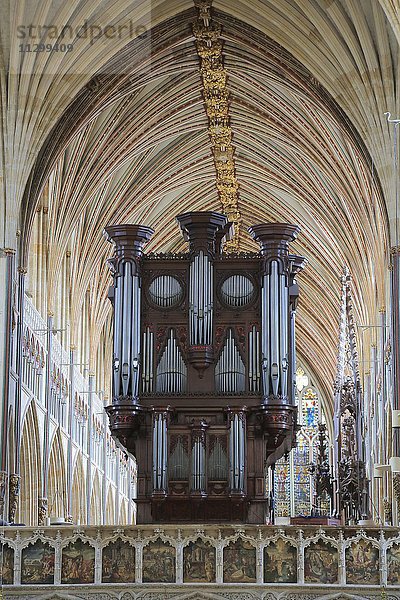 Orgel  Kathedrale St. Peter Exeter  Exeter  Devon  England  Vereinigtes Königreich