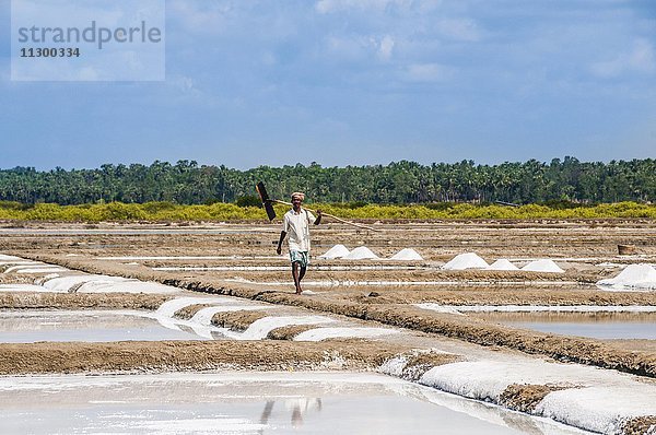 Salinenarbeiter  Arbeiter  Wasserbecken zur Salzgewinnung  Saline bei Thazhankadu  Tamil Nadu  Indien  Asien