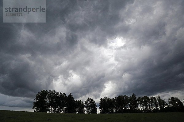 Gewitterwolken über Feld und Baumreihe in Beuerberg  Oberbayern  Germany