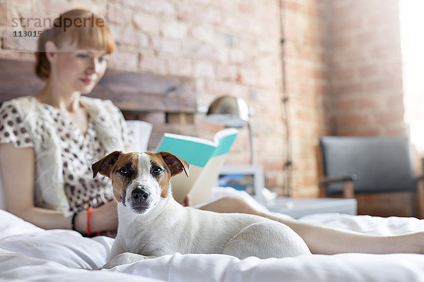 Frau liest Buch neben Jack Russell Terrier Hund auf Bett