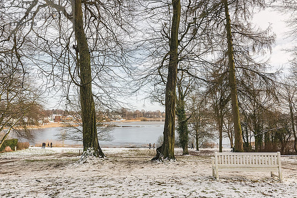 Bordesholmer See im Winter  Kreis Rendsburg Eckernförde  Schleswig-Holstein  Deutschland  Europa