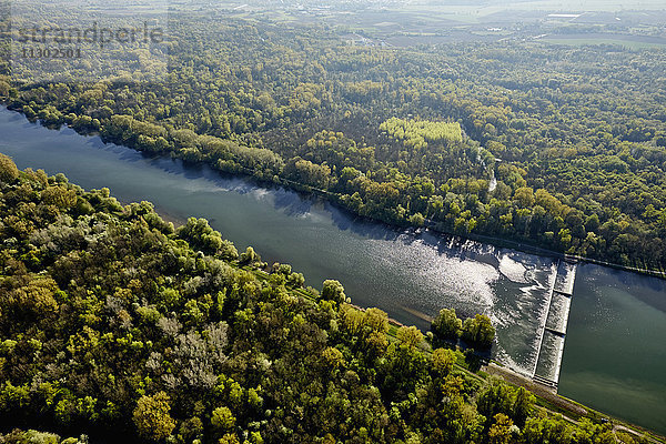 Naturschutzgebiet Taubergiessen  Baden Württemberg  Deutschland  Europa