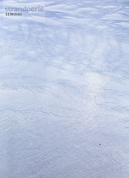 Eisschollen auf einem See  Grönland  Europa