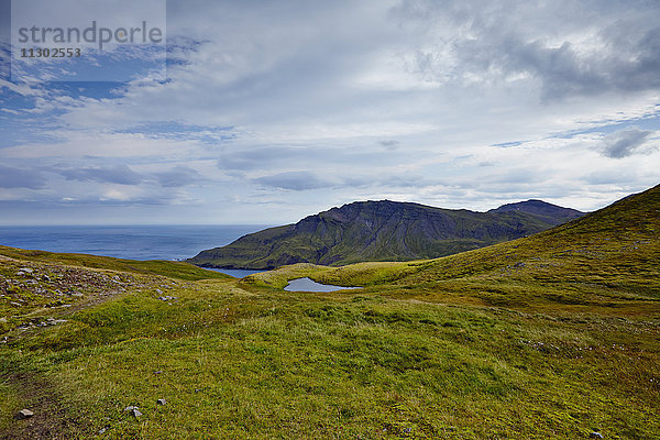 Grasland und Meer  Island  Europa