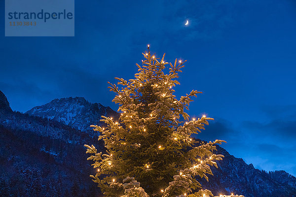 Bayern  Berchtesgadener Land  Bad Reichenhall  Berg  Mond  Predigtstuhl  Abend  Abend  blaue Stunde  Nacht  Stimmung  Weihnachtsbaum  Lichter  Beleuchtung  Weihnachten