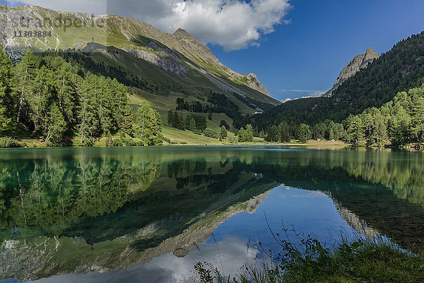 Natur  Landschaft  See  Bergsee  Wasser  Steine  Felsen  Schweiz  Baum  Bäume  Sommer  Wolke  Palpuognasee  Graubünden  Graubünden  Berg  Alpen