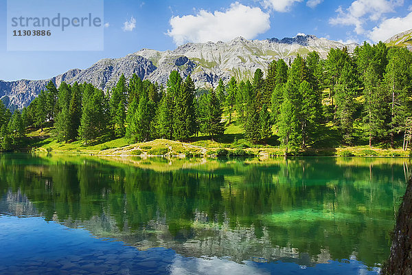 Natur  Landschaft  See  Bergsee  Wasser  Steine  Felsen  Schweiz  Baum  Bäume  Sommer  Wolke  Palpuognasee  Graubünden  Graubünden  Berg  Alpen