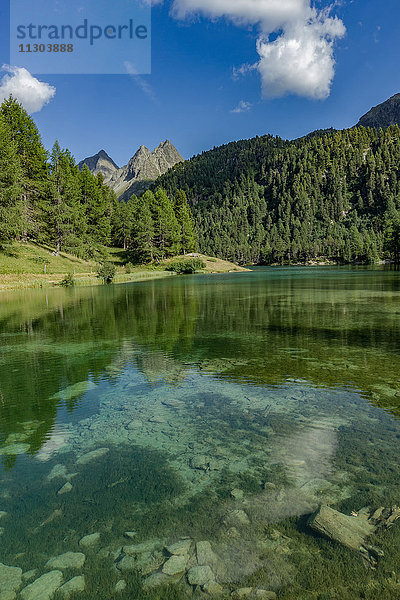 Natur  Landschaft  See  Bergsee  Wasser  Steine  Felsen  Schweiz  Baum  Bäume  Sommer  Wolke  Palpuognasee  Graubünden  Graubünden  Berg  Alpen