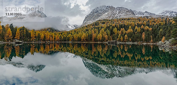 Natur  Landschaft  Berg  See  Bergsee  Herbst  Schnee  Saoseosee  Graubünden  Graubünden  Schweiz  Alpen  Baum  Bäume  Gelb