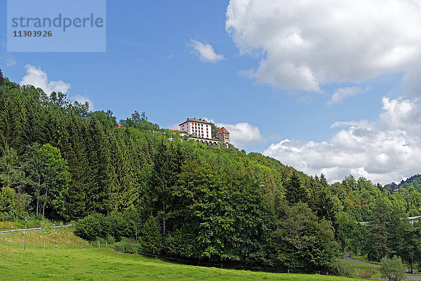 Hügel  Holz  Wald  Wiesen  Schlossbergklink  Klinik