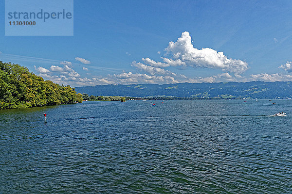 Bodensee  Bodensee  Uferlinie  Seeblick