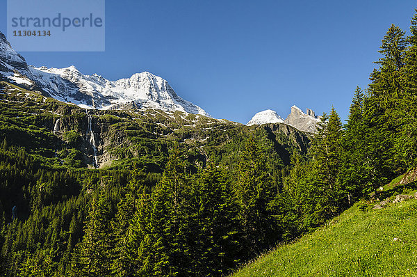Das Breithorn (oder Lauterbrunner Breithorn) und die Wasserfälle der Schmadribach im Lauterbrunnental  Berner Oberland  Schweiz. Rechts davon Tschingelhorn  Wätterhoren und Chanzel.