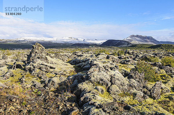 Mit Moos bewachsenes Lavafeld mit dem Vulkan Grabrok und dem Berg Hraunsnefsöxl im Hintergrund.