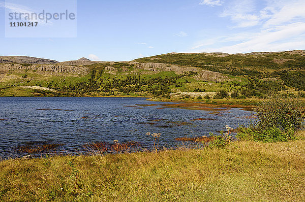 Am See Hredavatn in der Nähe des Dorfes Bifröst in Westisland.