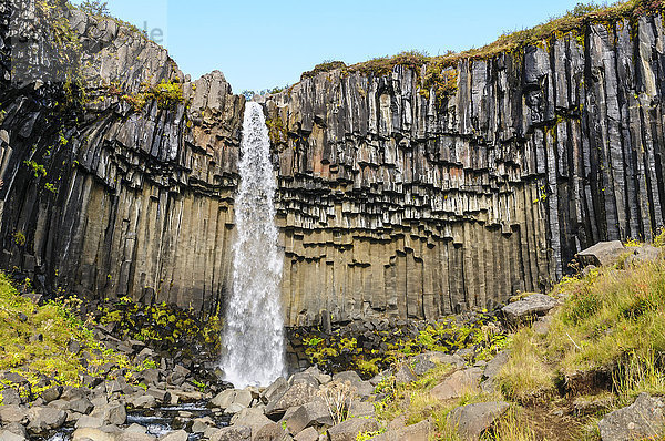 Wasserfall Svartifoss im Süden Islands.