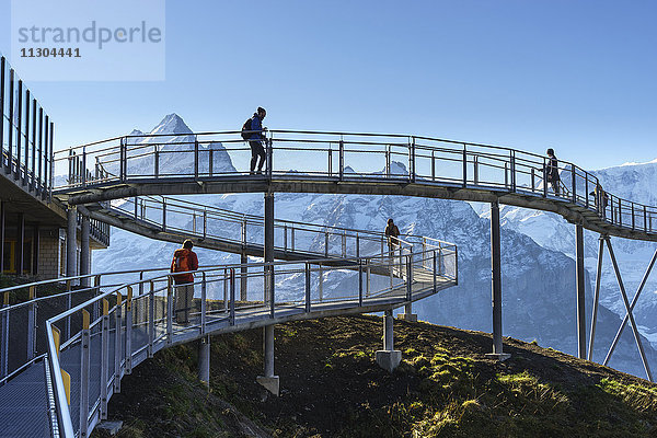 Gipfelweg und Aussichtsplattform mit dem Namen First Cliff Walk auf dem Gipfel des First oberhalb von Grindelwald  Berner Oberland  Schweiz. Auf der linken Seite der Berg Schreckhorn.
