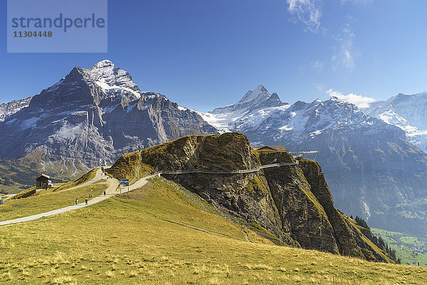 Gipfelweg und Aussichtsplattform mit dem Namen First Cliff Walk auf dem Gipfel des First oberhalb von Grindelwald  Berner Oberland  Schweiz. Die Berge (von links nach rechts): Wetterhorn  Schreckhorn  Mättenberg  Kleines Fiescherhorn.