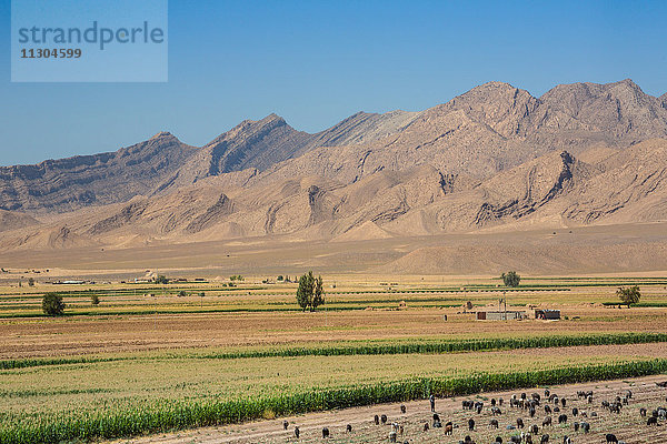 Iran  Landschaft bei Sarvestan Stadt