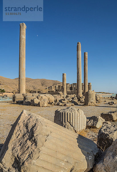 Iran  Persepolis Stadt  Apadana Palast Säulen und Tripylon der Audienz