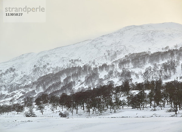 Berge im Winter