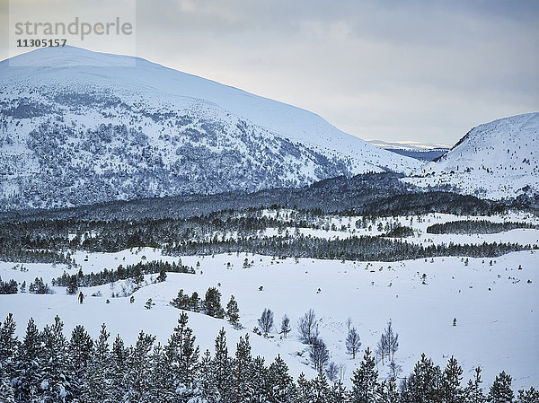 Berge im Winter