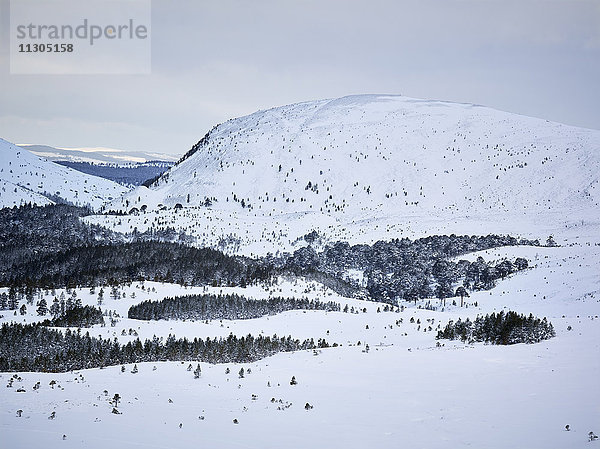 Berge im Winter